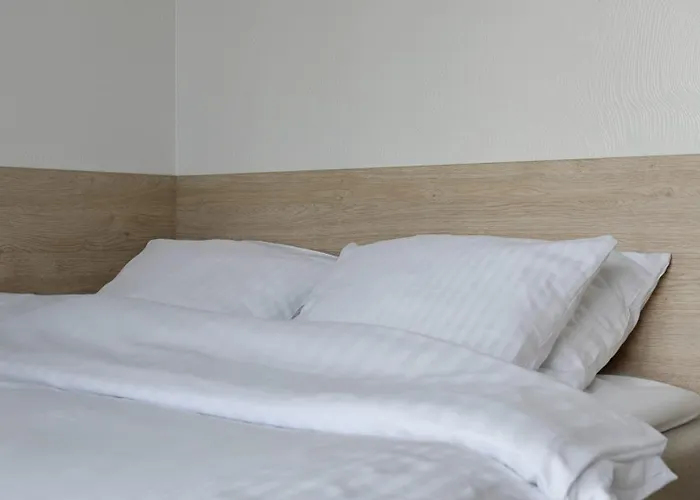 -2 Bedroom- Premium Baltic With Access アパート レバル